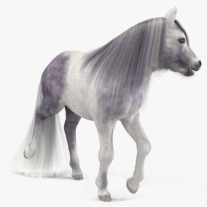 White Pony with Long Mane Fur Rigged
