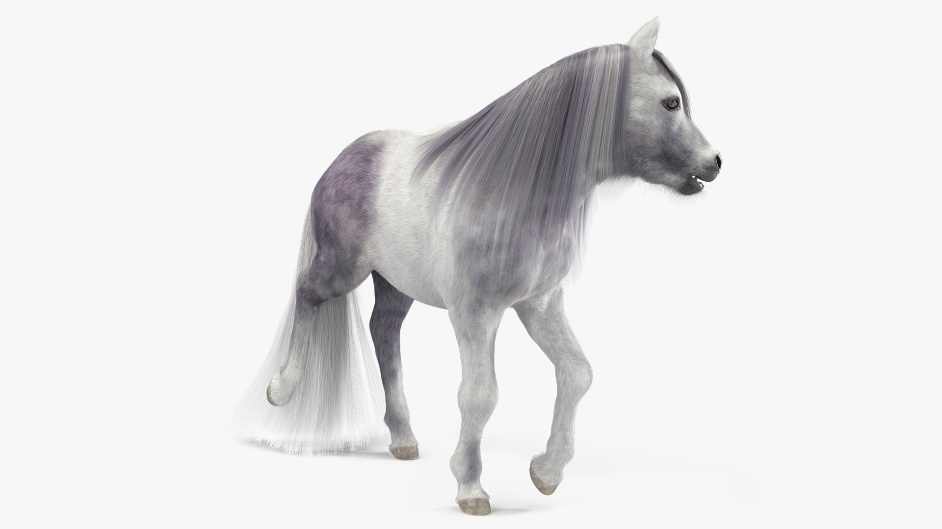 White Pony with Long Mane Fur Rigged 3D model preview