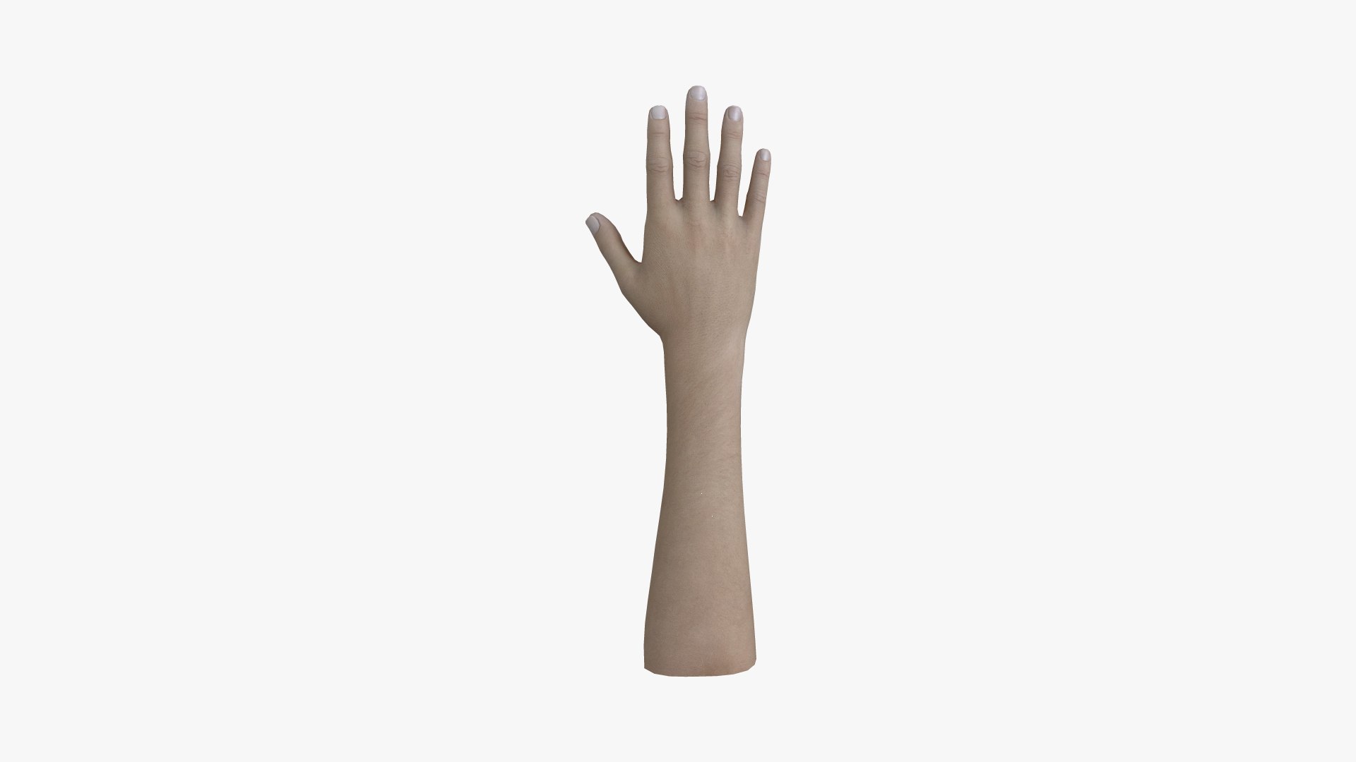 3D 0001 Rigged Hand https://p.turbosquid.com/ts-thumb/Jb/qUNvK9/OT/ts5/jpg/1667219120/1920x1080/fit_q87/5dddbca3414cfccf10cdb21ea02e43361326e12c/ts5.jpg