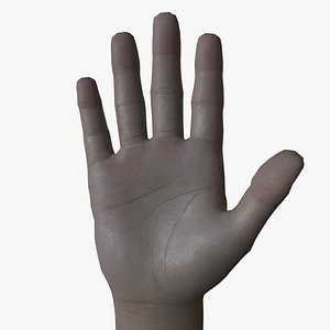 3D 0001 Rigged Hand