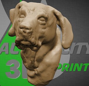 rodeziai ridgeback dog head