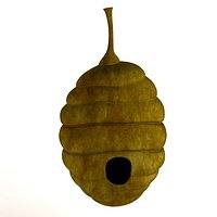 bee hive 2
