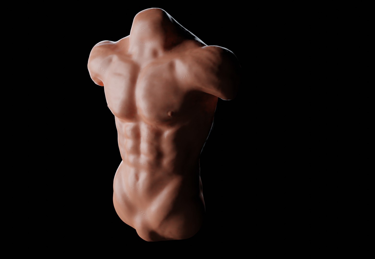 3D Human Torso Model - TurboSquid 1446613