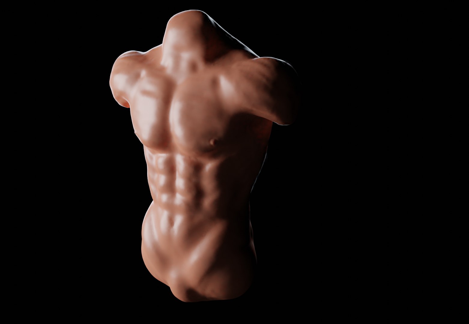 3D Human Torso Model - TurboSquid 1446613