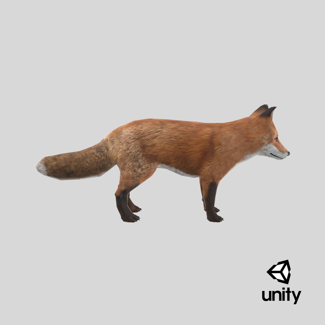 Fox 3D - TurboSquid 1166863