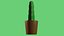 Usine de cactus
