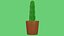 Usine de cactus