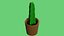 Usine de cactus