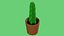 Usine de cactus
