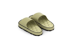 Slipper Foot wear model