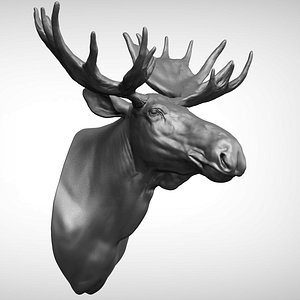 Moose Head