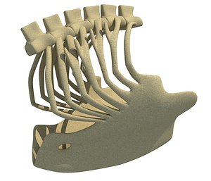 Bald Eagle Rib Cage