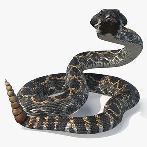 3D Rattlesnake Attack Animated Rigged for Cinema 4D model