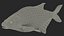 Abramis Brama 3D model