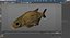 Abramis Brama 3D model