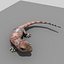 model realistic gecko animations