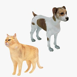 Cat and Dog Collection model