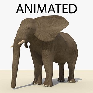 brown elephant animations 3d model