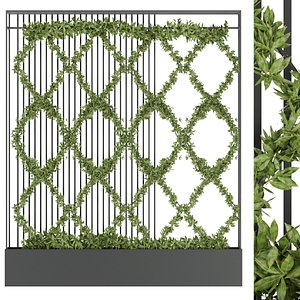 3D Collection plant vol 158 - ivy - fitowall - leaf