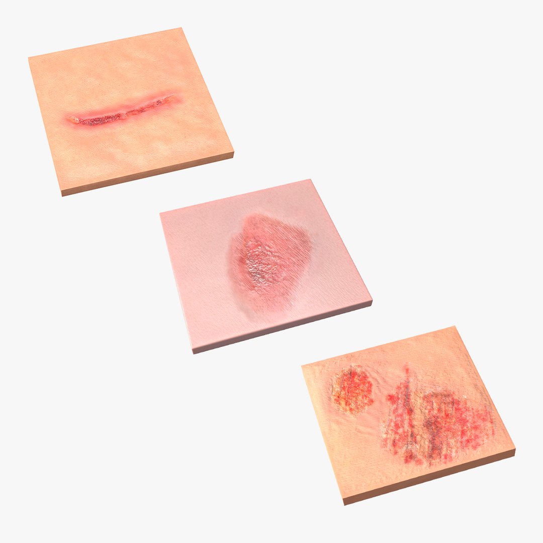 Skin Surfaces Collection 3D model preview