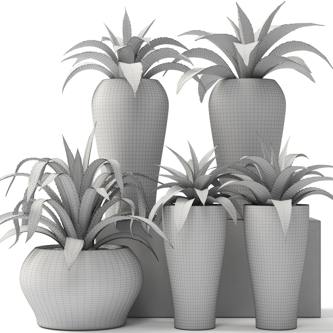 agave pots ma https://p.turbosquid.com/ts-thumb/Jd/ObnShs/I1aFMwye/agave09/jpg/1484510709/1920x1080/fit_q87/02b6836c7bcfa8b722673ba33ef466d4dcbe3f9d/agave09.jpg