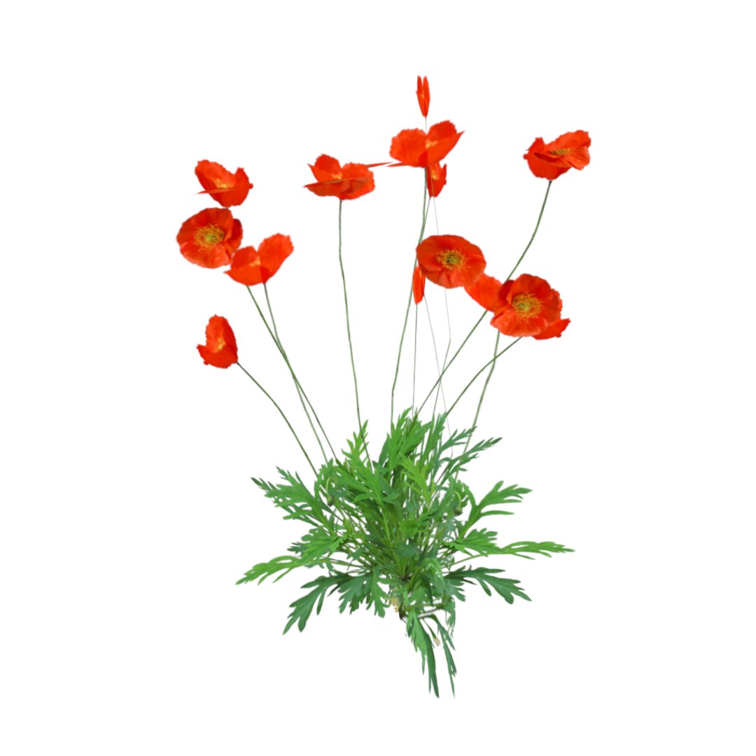 obj european wildflowers 1 https://p.turbosquid.com/ts-thumb/Jd/Z0L47O/R0d891Rl/papaver_1/png/1424467497/1920x1080/fit_q87/8c6c395228efc81d4998e66cf5f5c0ed8b721732/papaver_1.jpg