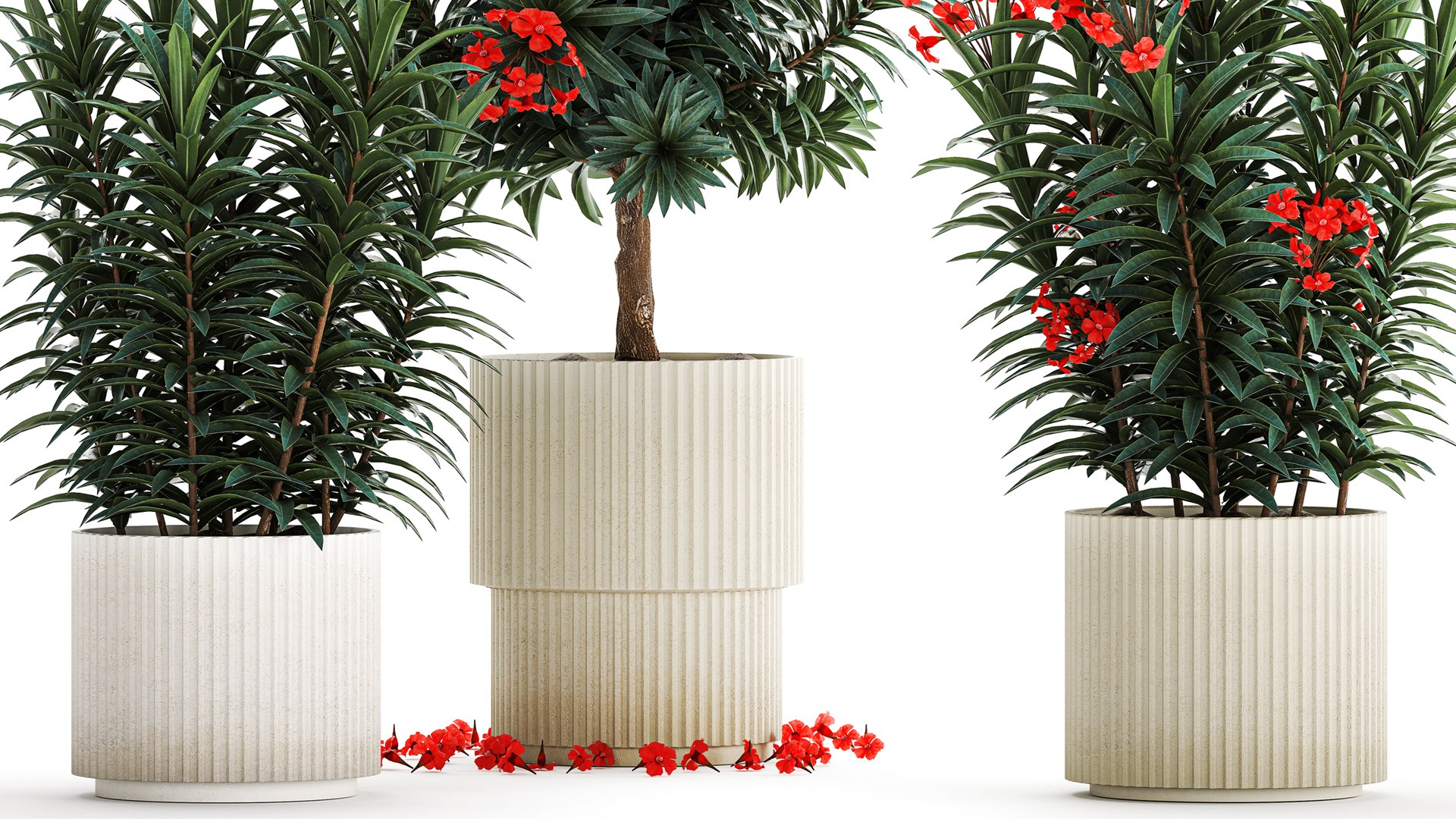 3D Beautiful plants red flowers Nerium oleander in pots 1367 https://p.turbosquid.com/ts-thumb/Jd/eIx8sf/HD/1neriumoleander2607202305/jpg/1690537587/1920x1080/fit_q87/c2be6042dcf8ac73573db4f14a9988fe5e309430/1neriumoleander2607202305.jpg
