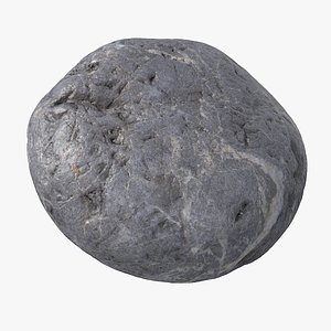 Sea Shore Stone 21