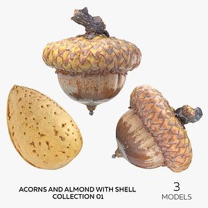 3D Acorns and Almond With Shell Collection 01 - 3 models