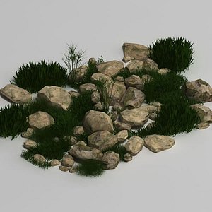 plant rock 3d model