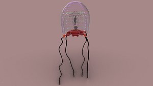jellyfish 3D model