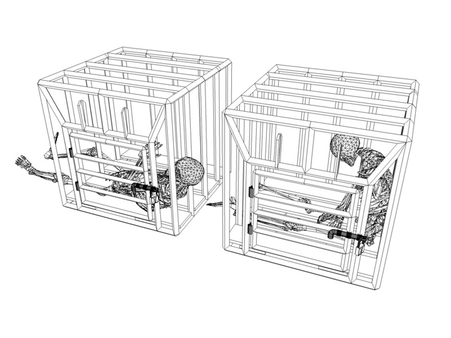 3d model cage