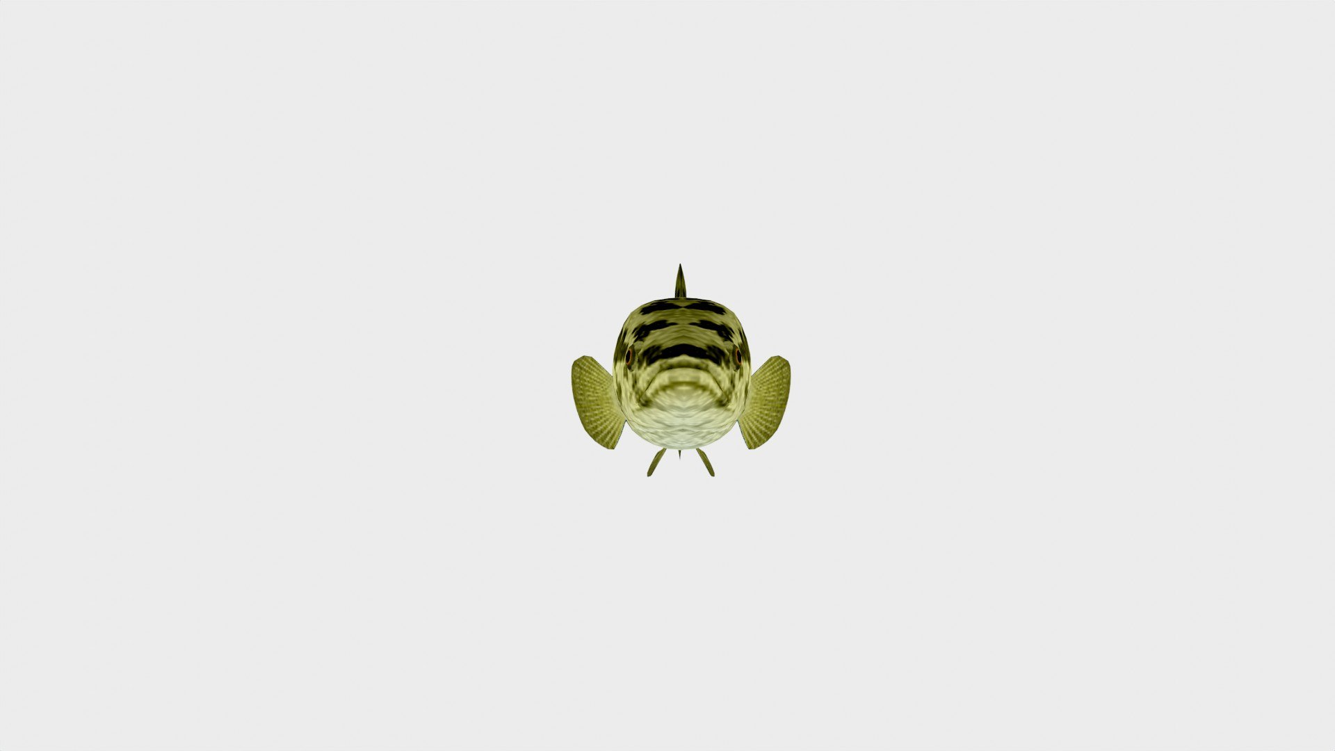 Snakehead Fish 3D Model Low Poly 3D - TurboSquid 2242580