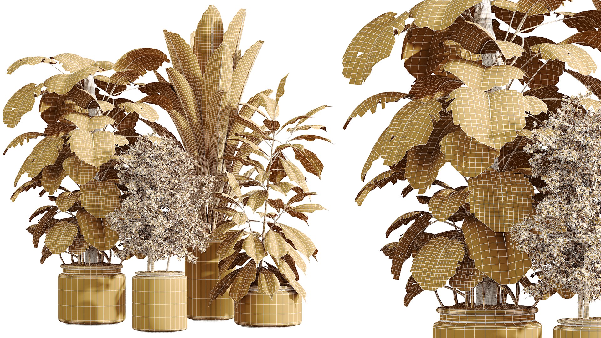 3D AV Indoor Plants Set 243 Swiss Cheese and Mission Olive and Bird Of Paradise and Ficus African Fig https://p.turbosquid.com/ts-thumb/Je/7doQZ1/WE/07/png/1749453580/1920x1080/fit_q87/692f055701bccd1138cc169759b719e0a1c56c86/07.jpg
