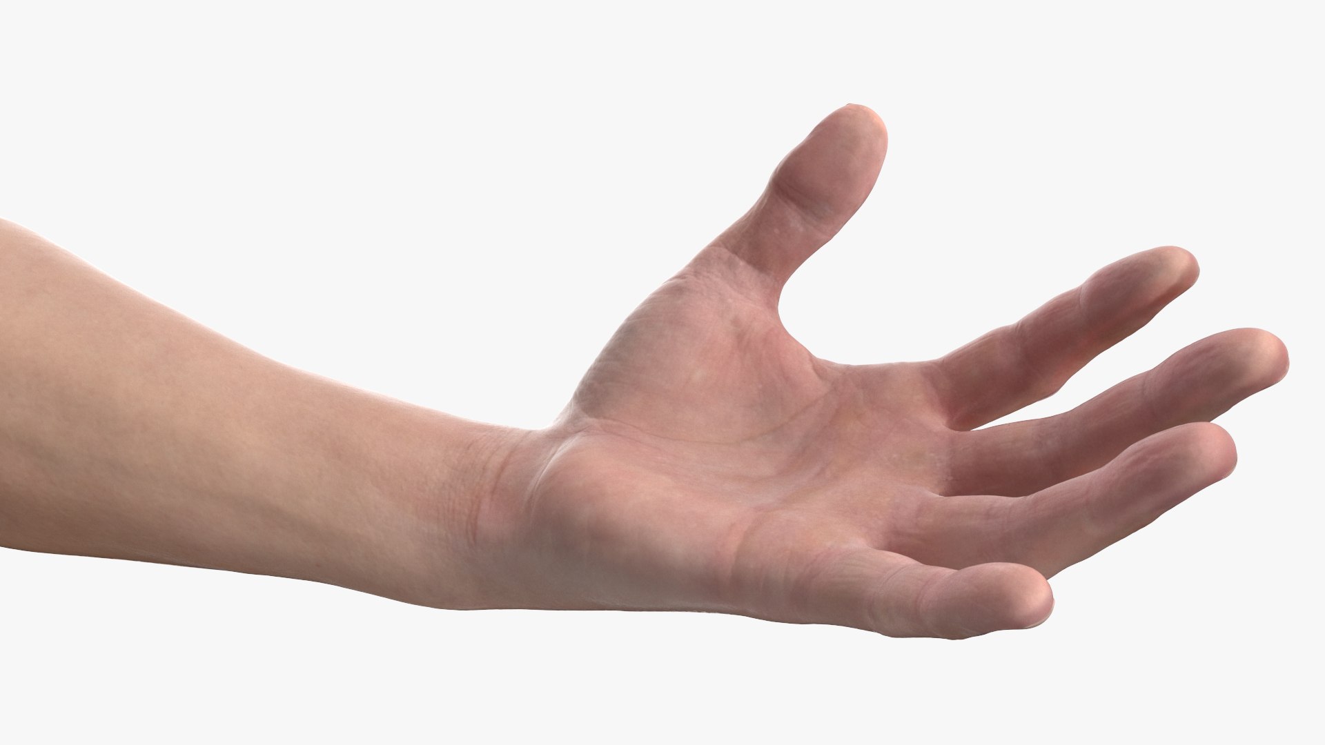 Athletic Male Arm 3D model https://p.turbosquid.com/ts-thumb/Je/8hV1r9/L5/athleticmalearm3dmodel008/jpg/1726023304/1920x1080/fit_q87/84f82e54ea9f19eef404e6f33cbdf1c1a6e5f75a/athleticmalearm3dmodel008.jpg