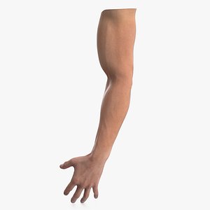 Athletic Male Arm 3D model