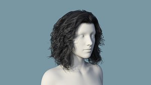 Realistic Female Polygon Black Hair 54