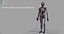 MODELO DE ANATOMIA DEL CUERPO HUMANO