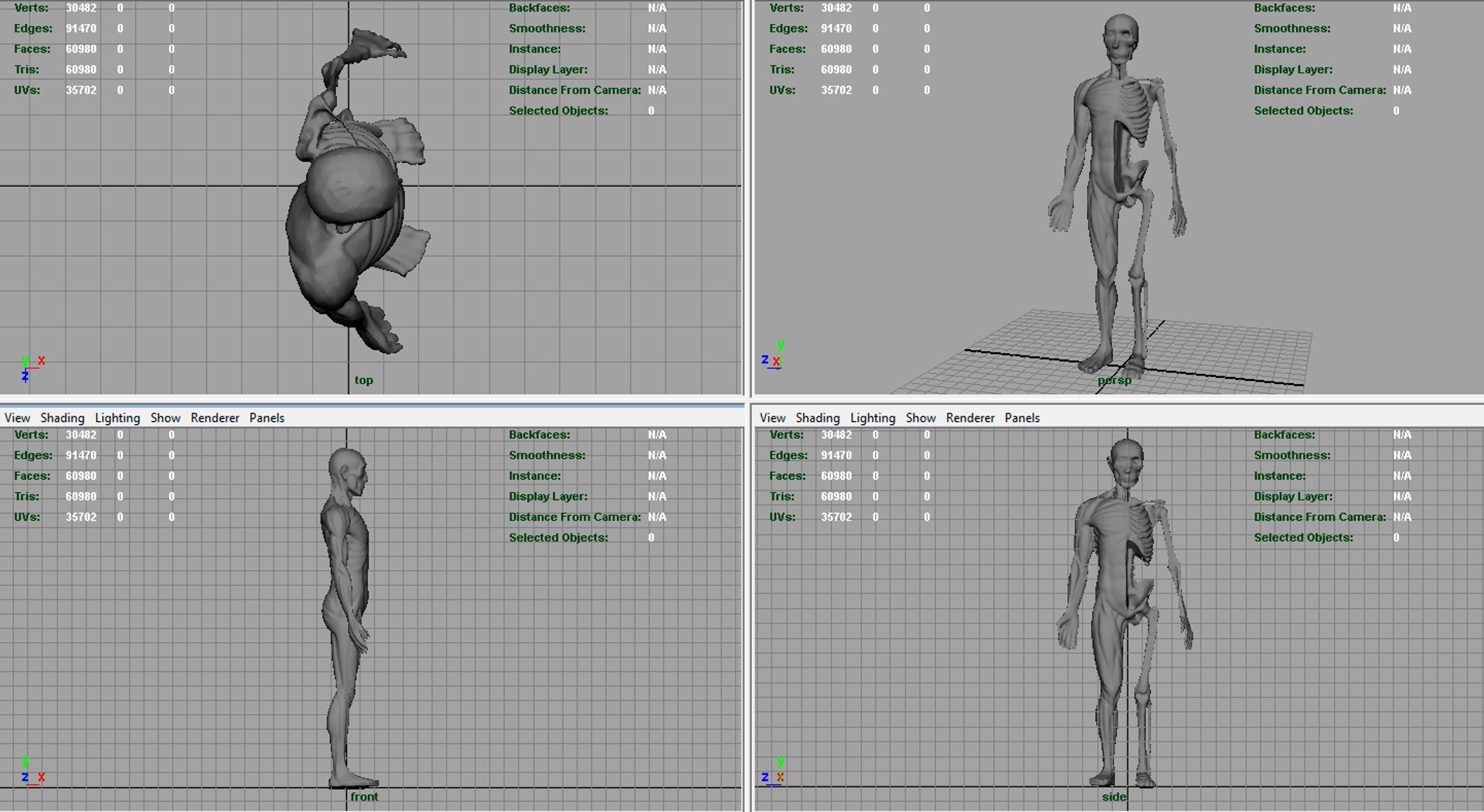 hd human body anatomy 3d model https://p.turbosquid.com/ts-thumb/Je/PblU5b/9CYTZSg3/render5/jpg/1477687630/1920x1080/fit_q87/36b403e6d3b33b53e4964c37a66b67e9fb84d821/render5.jpg