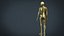 MODELO DE ANATOMIA DEL CUERPO HUMANO
