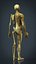 MODELO DE ANATOMIA DEL CUERPO HUMANO