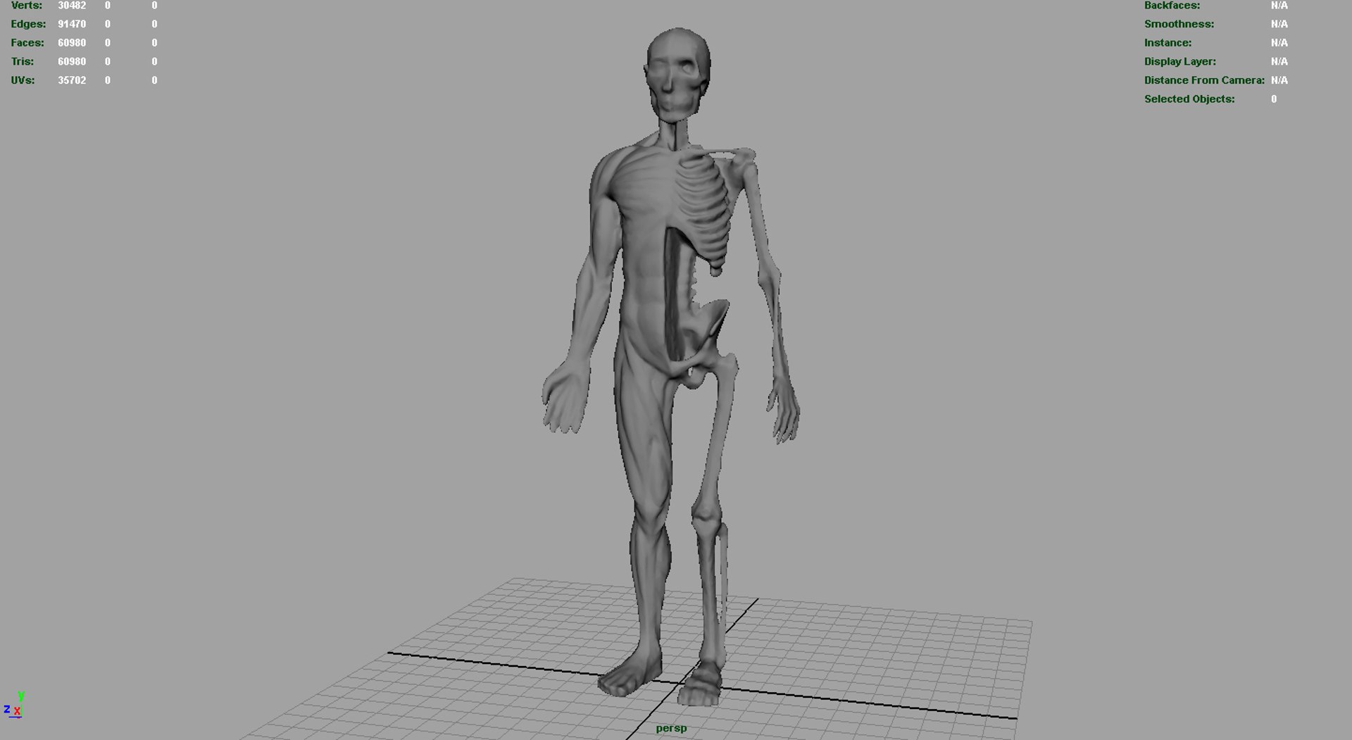 Hd Human Body Anatomy 3d Model Biology Diagrams