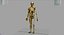 MODELO DE ANATOMIA DEL CUERPO HUMANO