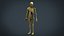 MODELO DE ANATOMIA DEL CUERPO HUMANO