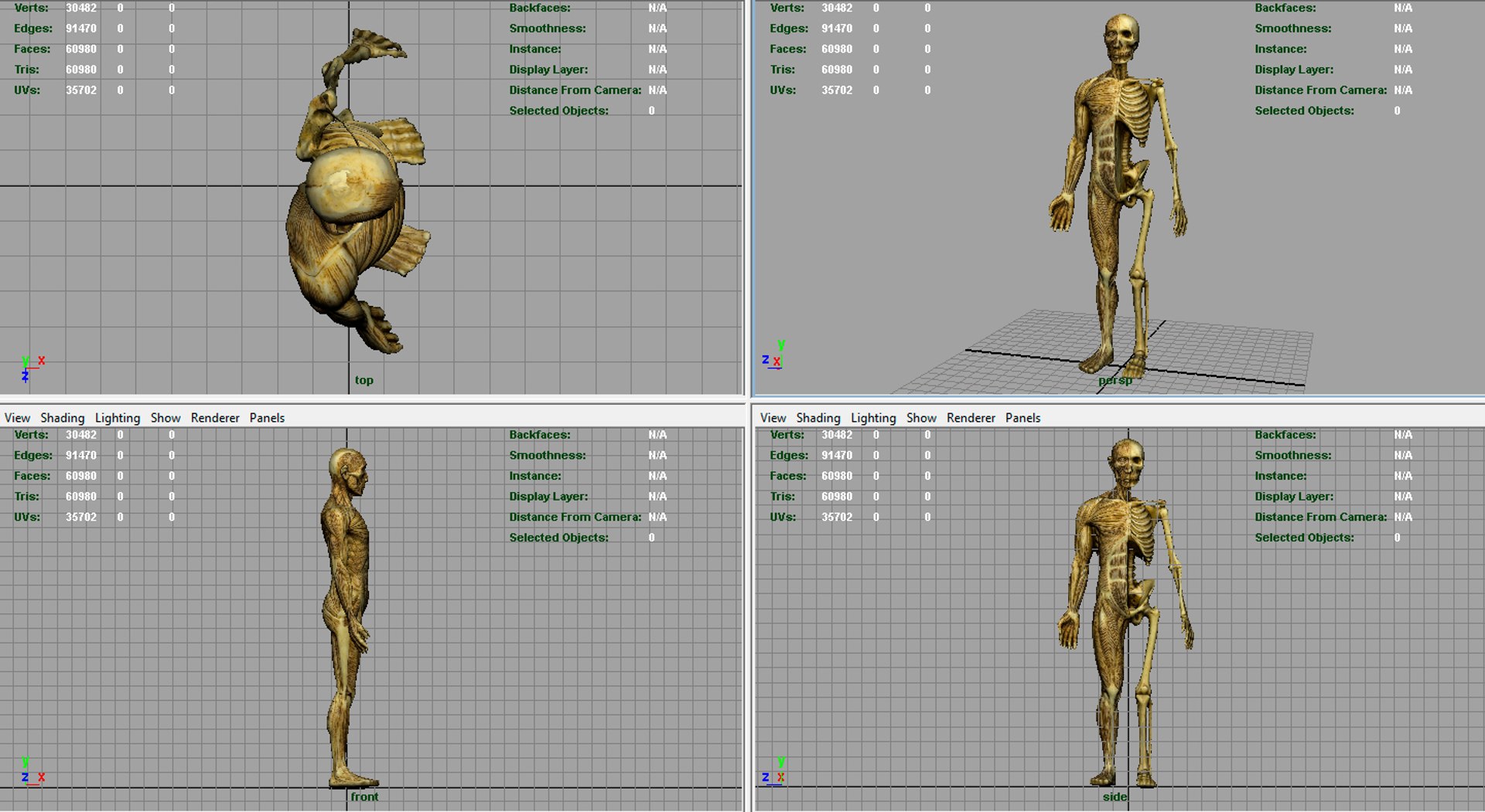 hd human body anatomy 3d model https://p.turbosquid.com/ts-thumb/Je/PblU5b/sweYGCOp/render4/jpg/1477687630/1920x1080/fit_q87/b4a4a91401ce35f0ba2c6730652e7bc829b9f786/render4.jpg