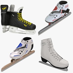3d model winter sports skates