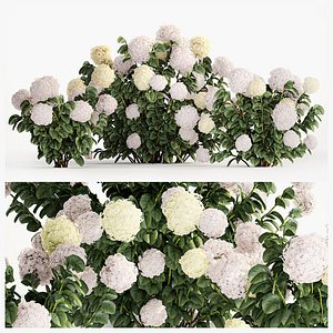 Hydrangea bushes for garden landscaping 1180 3D model