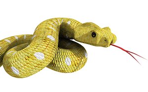 snake - Buy Royalty Free 3D model by explorertit36@gmail.com (@paydi)  [a536b97]