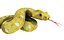 snake viper 3d model