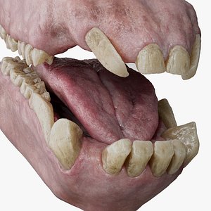 3D baboon mouth